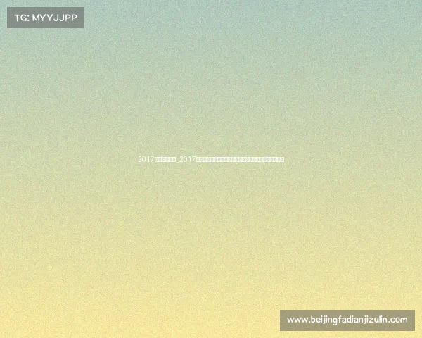 2017年羽球大赛事_2017年羽毛球世界锦标赛激情回顾激烈竞争与荣耀时刻全记录