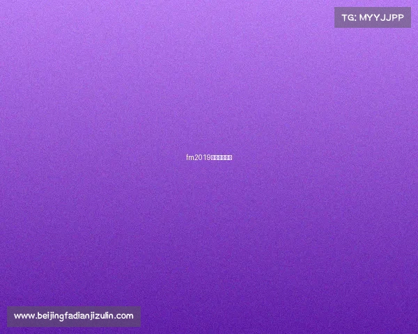 fm2019修改联赛规则