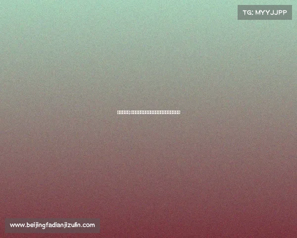 上海赛事网;上海赛事网精彩赛事尽在掌握共创运动新风尚