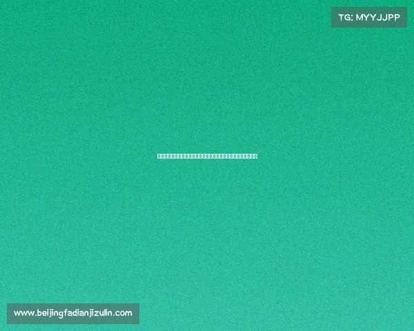 中国国内格斗赛事大盘点：从传统武术到现代搏击完整列表与解析