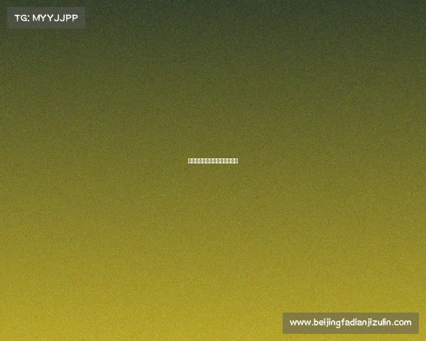 体育赛事纪律体育比赛纪律要求