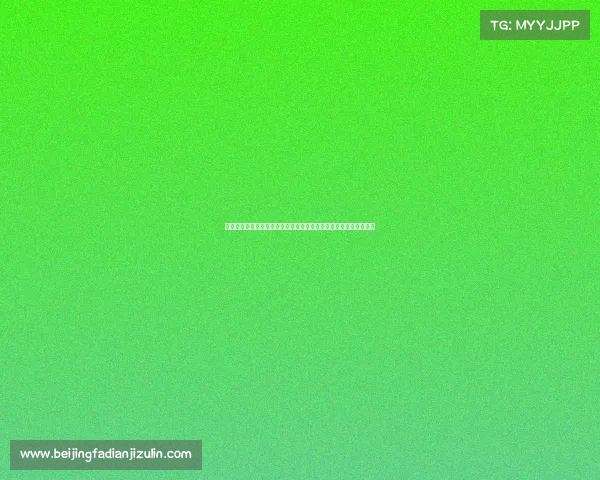 巴西甲级联赛最新赛事全面解析：强强对话、冷门频出与积分争夺战