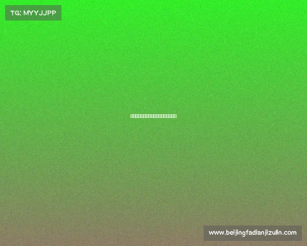 电子竞技策划案目录、电子竞技的策划案